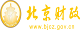 www.17c.con视频北京市财政局