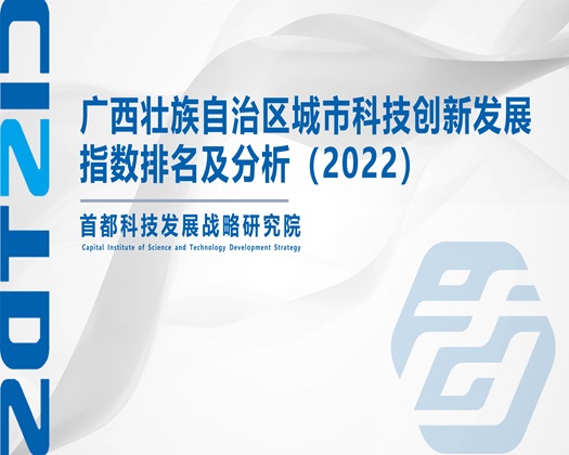 鸡巴操小穴视频心【成果发布】广西壮族自治区城市科技创新发展指数排名及分析（2022）